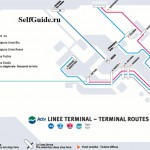 Terminal lines-1