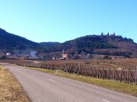 Достопримечательности Husseren : the 3 castles Copyright ARdV